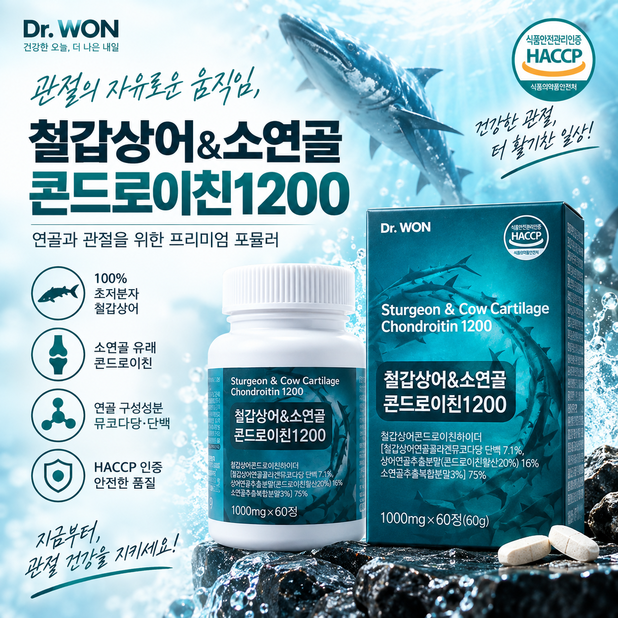 철갑상어 소연골 콘드로이친1200 [ 1000mg 60정]